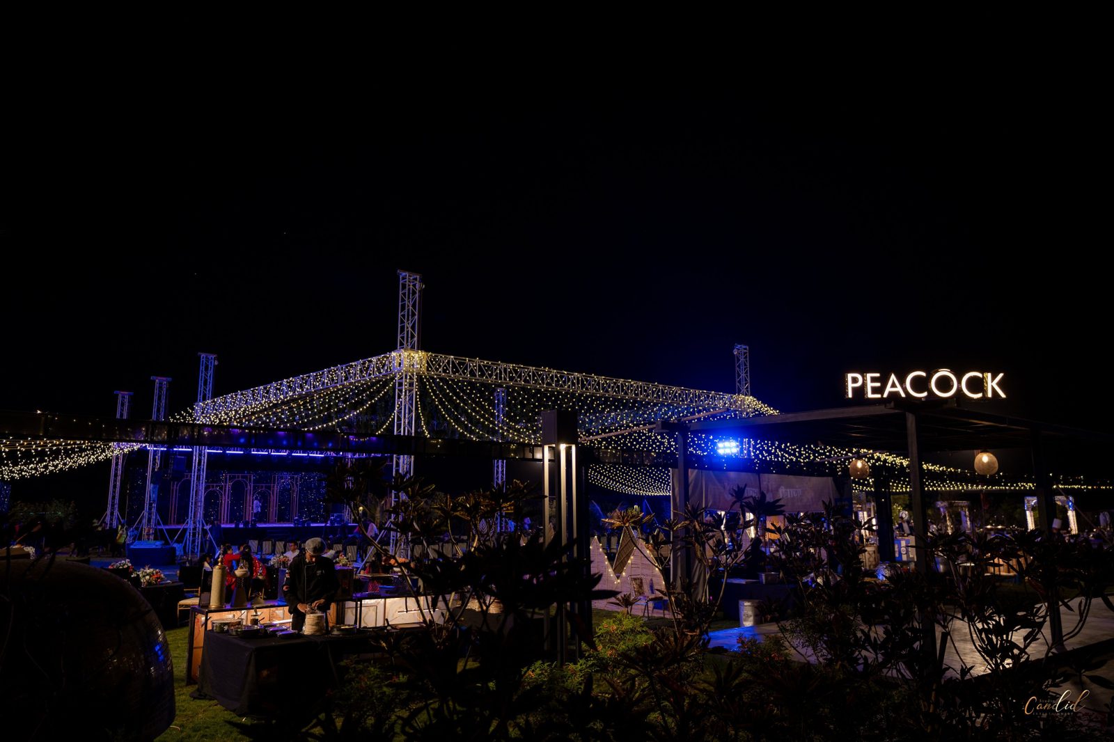 Peacock-themed poolside lounge lit up for the evening with fairy lights